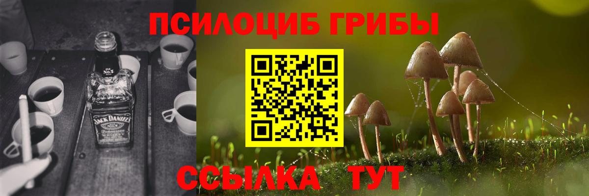 Калуга  Псилоцибиновые грибы мицелий  Вход с VPN 